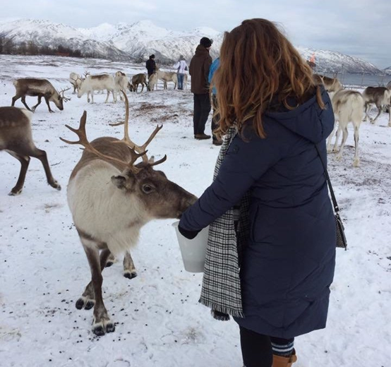 图片.png 图片.png