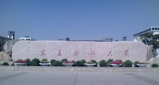 1566014883137211.jpg n.jpg