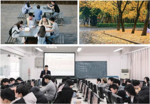 1619062170586738.jpg 2.jpg