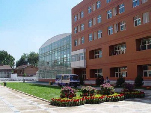 1589269137860807.jpg t017498a1120535ee07.jpg