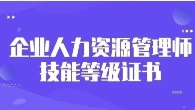 企业人力资源管理师职业证书项目