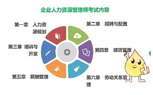 企业人力资源管理师等级划分