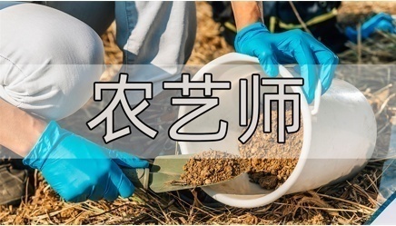 园艺师的考试科目有哪些