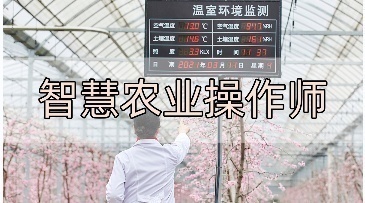 智慧农业专业有什么内容