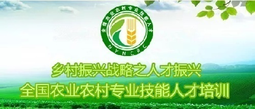 初级农业项目管理师